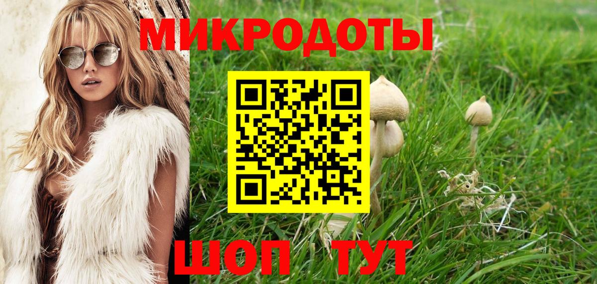 Курск  Псилоцибиновые грибы MAGIC MUSHROOMS  Вход с VPN  Псилоцибиновые грибы Magic Shrooms 