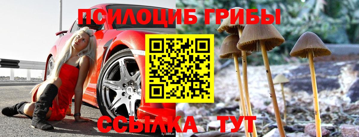 Галлюциногенные грибы прущие грибы Курск